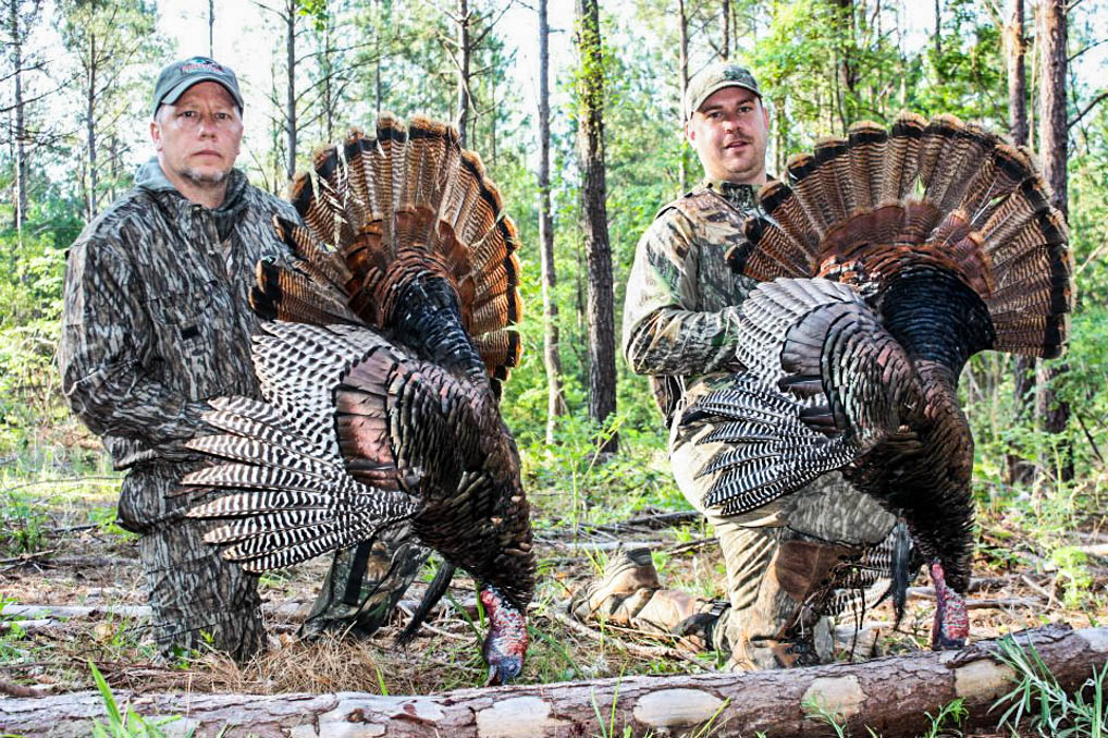 Late Season Turkey Hunting in Georgia - GRAND SLAM NETWORK